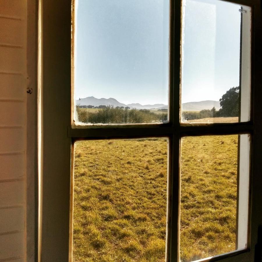 Vittorio, En Llohue Villa Villa Ventana Eksteriør billede