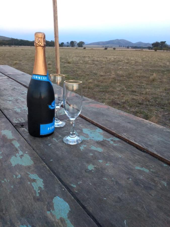 Vittorio, En Llohue Villa Villa Ventana Eksteriør billede